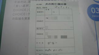 BlogPaint