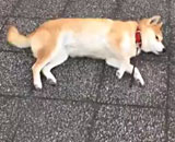 9690929