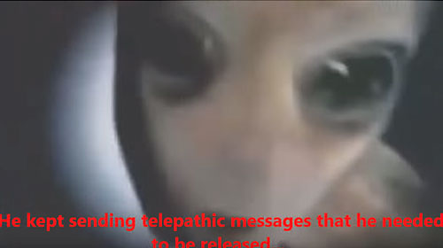 78