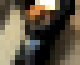 44