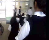 9850133