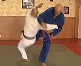 Neko-Ryu-Goshin-Jitsu