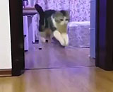 9782056
