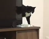 1111
