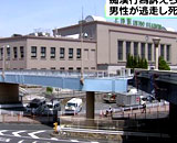 9555261