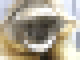 123