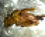 8910232