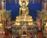 9913635