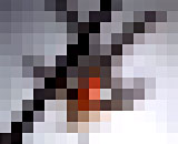 333