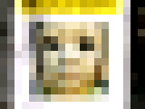 fedeyt