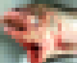 8720886