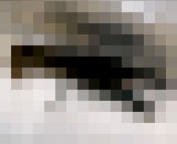 9856773