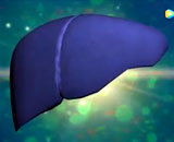 9661796