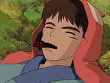 231