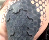 8762173