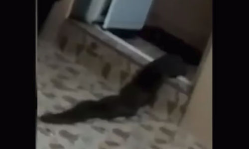 777