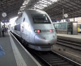 9768851