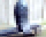 9662755