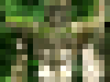 88