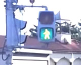 333