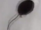 6678