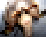 9164220