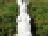 asrfwre