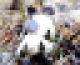 8768096