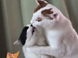 e54