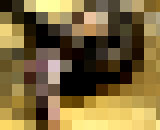 9760211