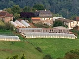 dasw54