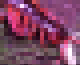 8696098