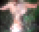 9074615