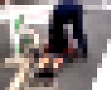 9818382