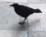 3333
