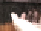 sdttt