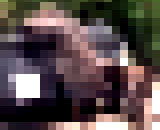 9768613