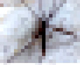 9818727