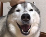 9712365