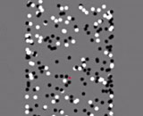 98