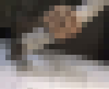 9536676
