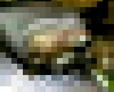 9581445