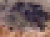 65