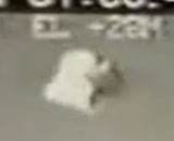 9582077