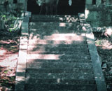 de5