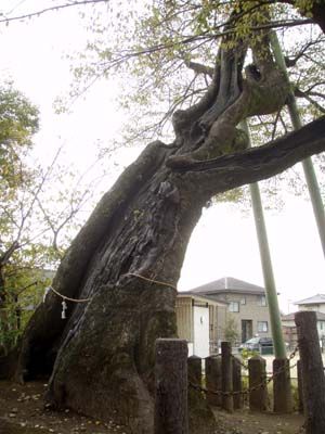 霜凝神社(大分市下郡)-8