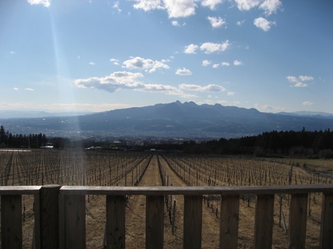 大地の湯