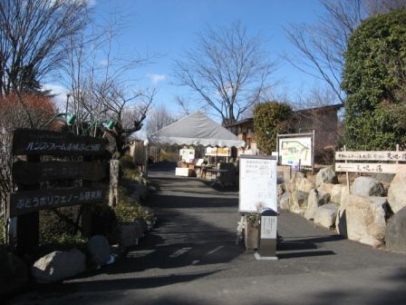 大地の湯