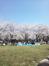 hanami