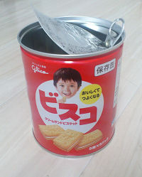 ¥Ó¥¹¥³